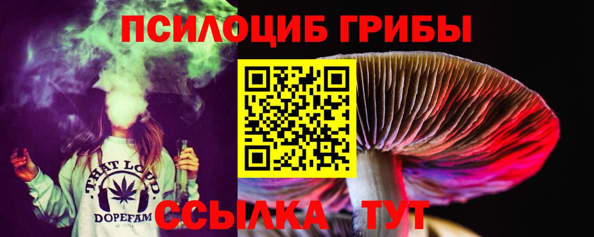 Псилоцибиновые грибы Psilocybe  Псилоцибиновые грибы Psilocybe  Вход с VPN  Сердобск 